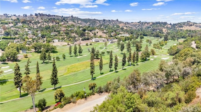 770 E Avocado Crest Rd, La Habra Heights, CA 90631 - photo 66