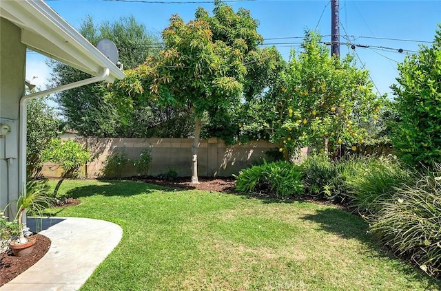 11342 Foster Rd, Los Alamitos, CA 90720 - photo 52