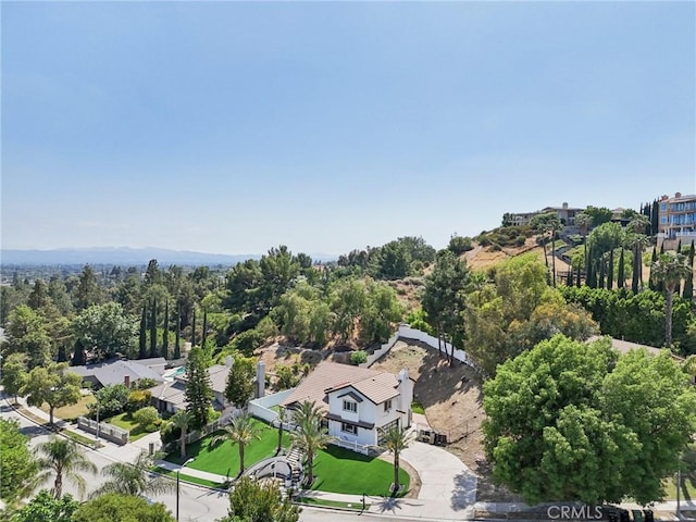 11911 Louise Ave, Granada Hills, CA 91344 - photo 43
