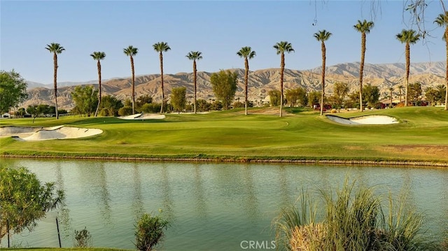 81535 Avenida De Baile, Indio, CA 92203 - photo 50