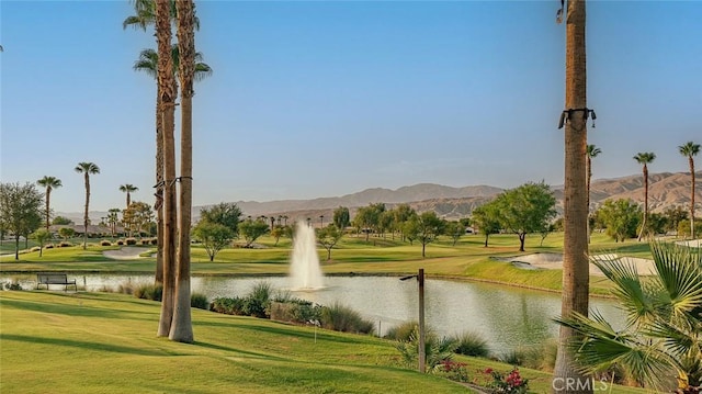 81535 Avenida De Baile, Indio, CA 92203 - photo 51
