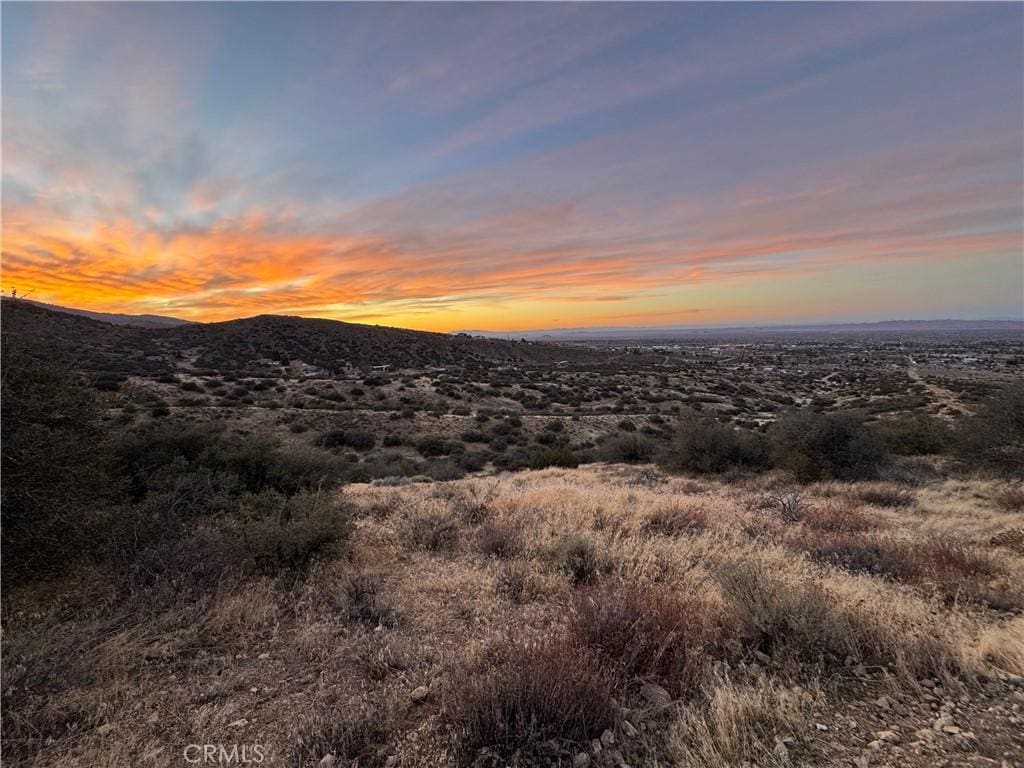 0 202nd Ave, X Llano, CA 93544 - photo 1