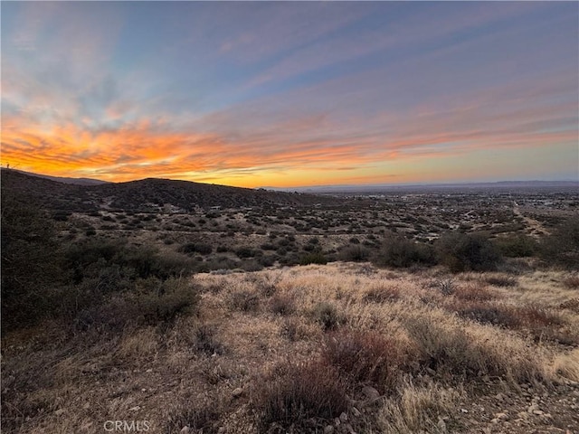 0 202nd Ave, X Llano, CA 93544 - photo 1