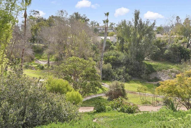 958 Woodgrove Dr, Cardiff By The Sea, CA 92007 - photo 33