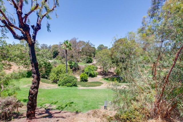 958 Woodgrove Dr, Cardiff By The Sea, CA 92007 - photo 24