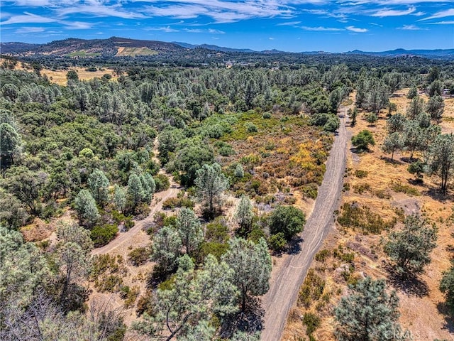 14142 Burns Valley Rd, Clearlake, CA 95422 - photo 31