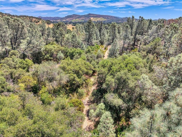 14142 Burns Valley Rd, Clearlake, CA 95422 - photo 23