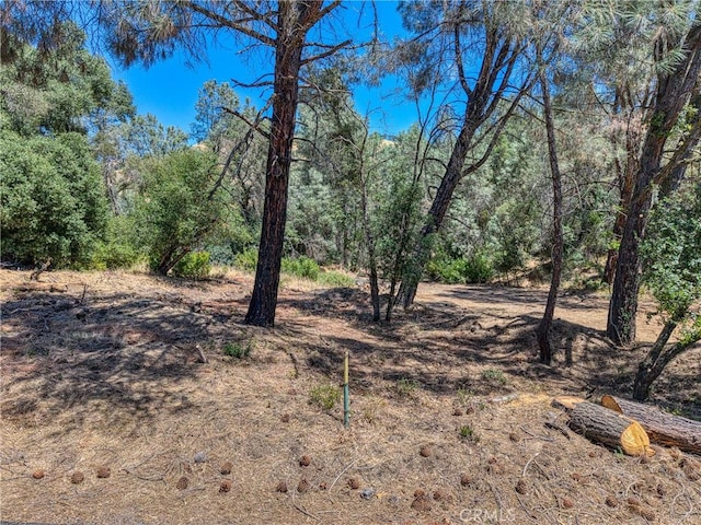 14142 Burns Valley Rd, Clearlake, CA 95422 - photo 10
