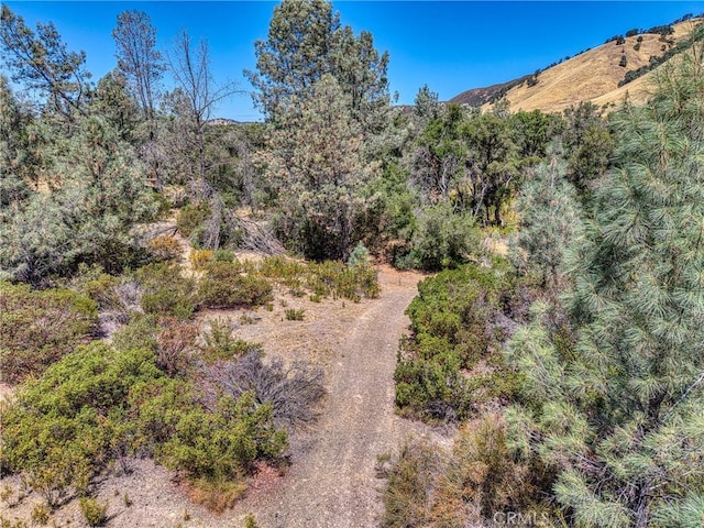 14142 Burns Valley Rd, Clearlake, CA 95422 - photo 20