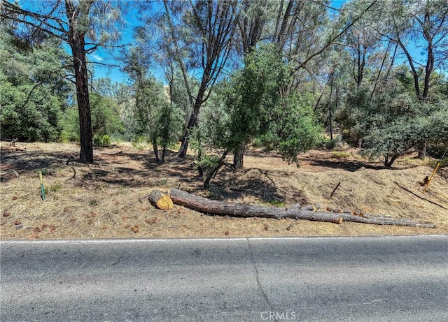 14142 Burns Valley Rd, Clearlake, CA 95422 - photo 12
