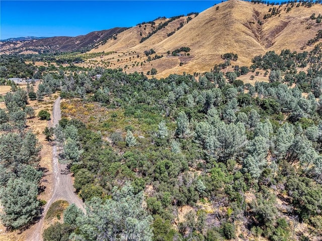 14142 Burns Valley Rd, Clearlake, CA 95422 - photo 27