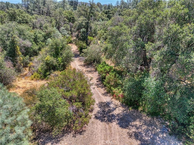 14142 Burns Valley Rd, Clearlake, CA 95422 - photo 6