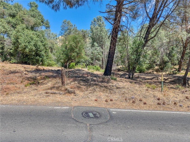 14142 Burns Valley Rd, Clearlake, CA 95422 - photo 9