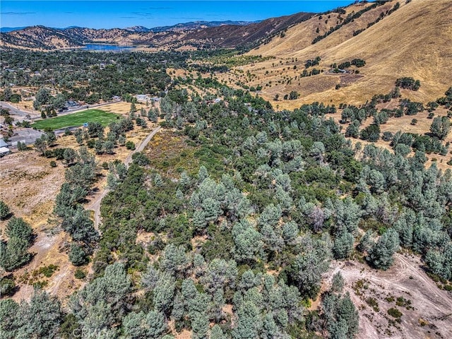 14142 Burns Valley Rd, Clearlake, CA 95422 - photo 14