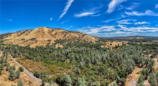 14142 Burns Valley Rd, Clearlake, CA 95422 - photo 26