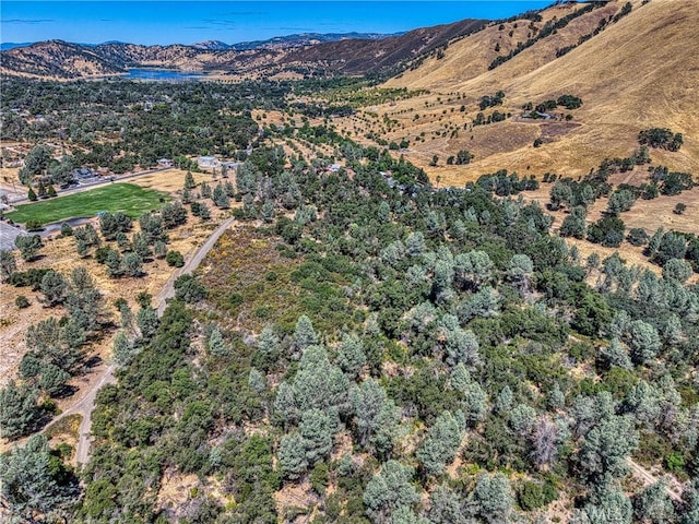 14142 Burns Valley Rd, Clearlake, CA 95422 - photo 15