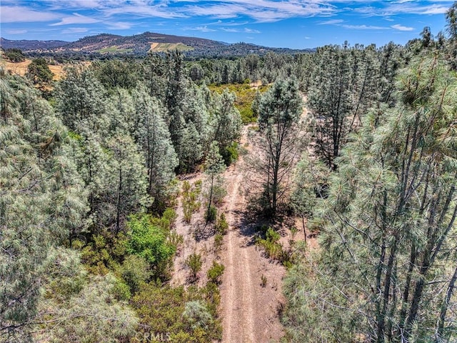 14142 Burns Valley Rd, Clearlake, CA 95422 - photo 24