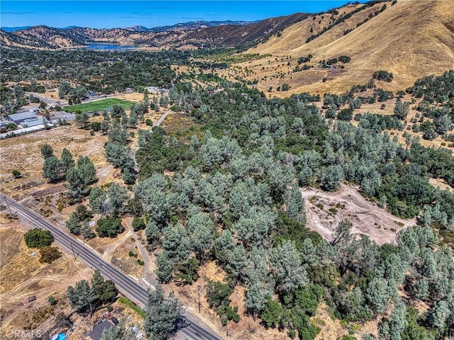 14142 Burns Valley Rd, Clearlake, CA 95422 - photo 7