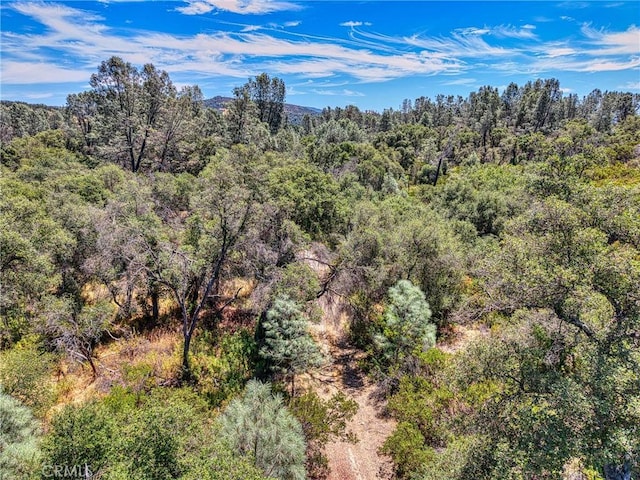 14142 Burns Valley Rd, Clearlake, CA 95422 - photo 21