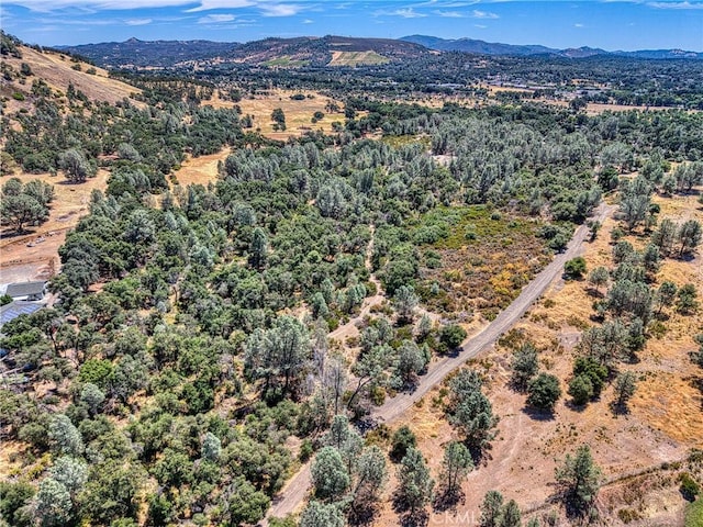 14142 Burns Valley Rd, Clearlake, CA 95422 - photo 19