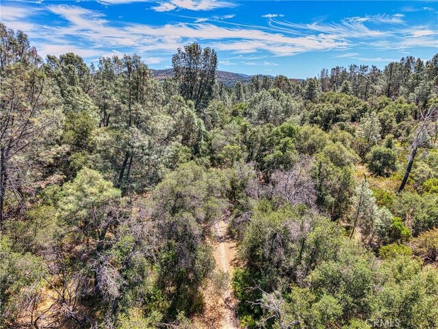 14142 Burns Valley Rd, Clearlake, CA 95422 - photo 22