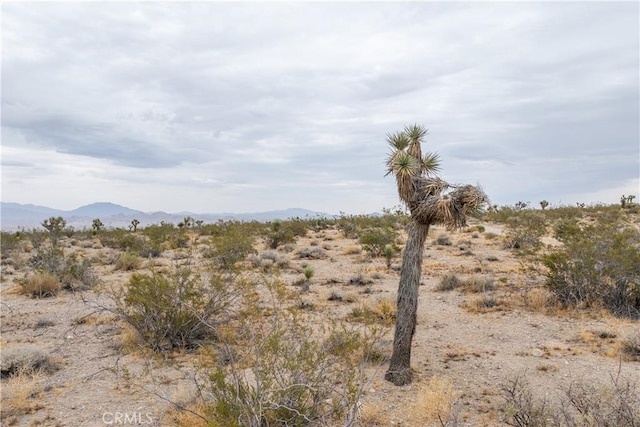 37050 Cheshire Rd, Lucerne Valley, CA 92356 - photo 11