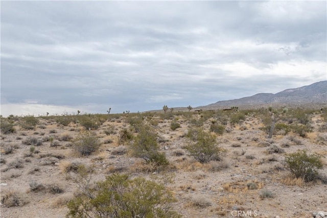 37050 Cheshire Rd, Lucerne Valley, CA 92356 - photo 9
