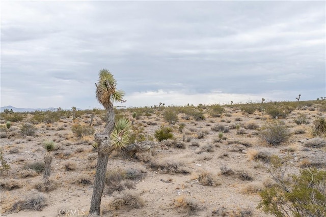 37050 Cheshire Rd, Lucerne Valley, CA 92356 - photo 22