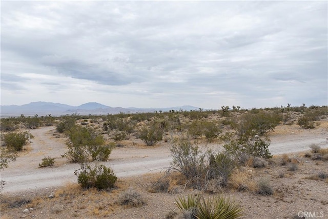 37050 Cheshire Rd, Lucerne Valley, CA 92356 - photo 7
