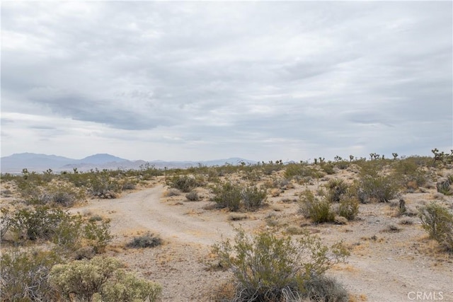 37050 Cheshire Rd, Lucerne Valley, CA 92356 - photo 8