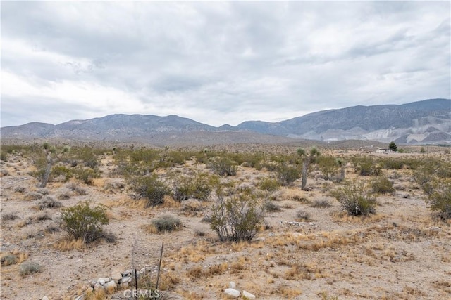 37050 Cheshire Rd, Lucerne Valley, CA 92356 - photo 10