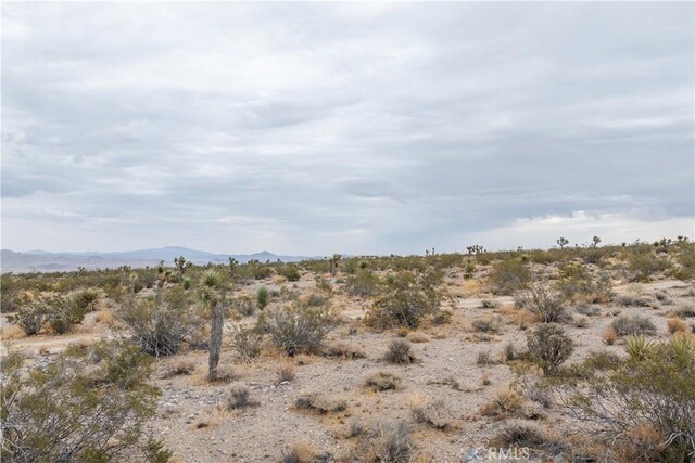 37050 Cheshire Rd, Lucerne Valley, CA 92356 - photo 21