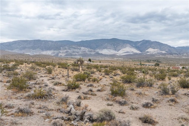 37050 Cheshire Rd, Lucerne Valley, CA 92356 - photo 6