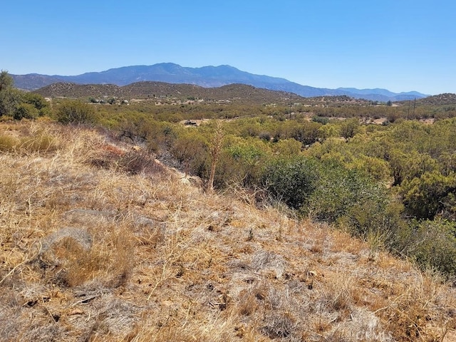 0 Terwilliger Rd, Anza, CA 92539 - photo 20