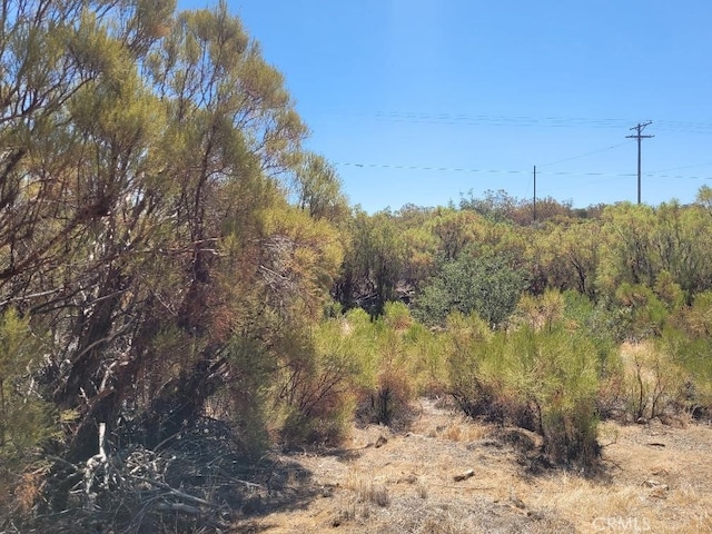 0 Terwilliger Rd, Anza, CA 92539 - photo 8