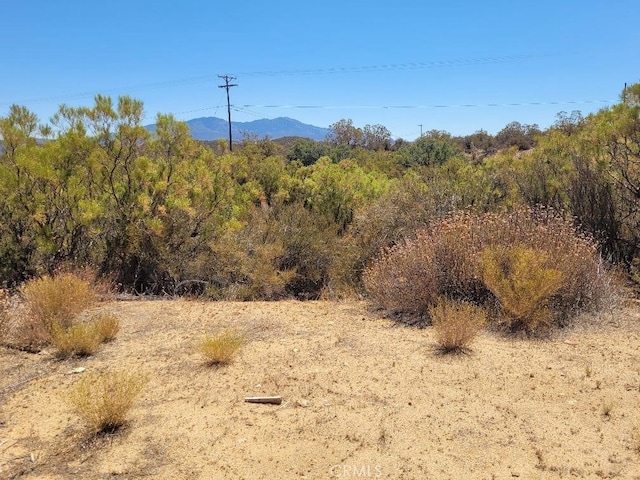 0 Terwilliger Rd, Anza, CA 92539 - photo 4
