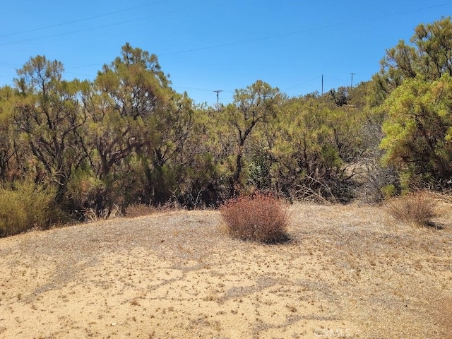 0 Terwilliger Rd, Anza, CA 92539 - photo 5