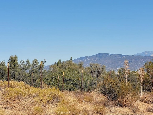 0 Terwilliger Rd, Anza, CA 92539 - photo 17