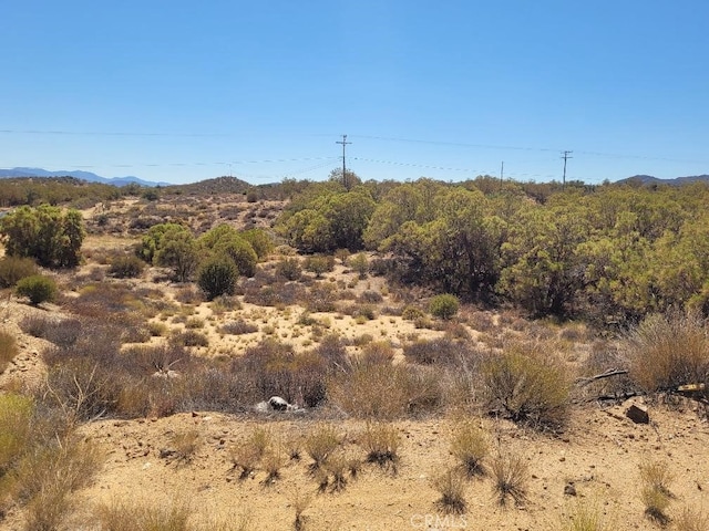 0 Terwilliger Rd, Anza, CA 92539 - photo 13