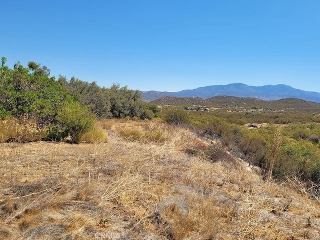 0 Terwilliger Rd, Anza, CA 92539 - photo 19
