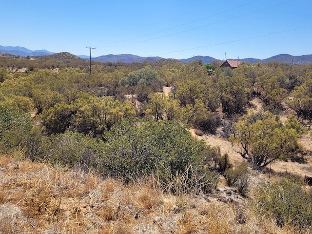 0 Terwilliger Rd, Anza, CA 92539 - photo 22