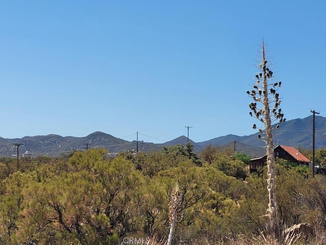0 Terwilliger Rd, Anza, CA 92539 - photo 15