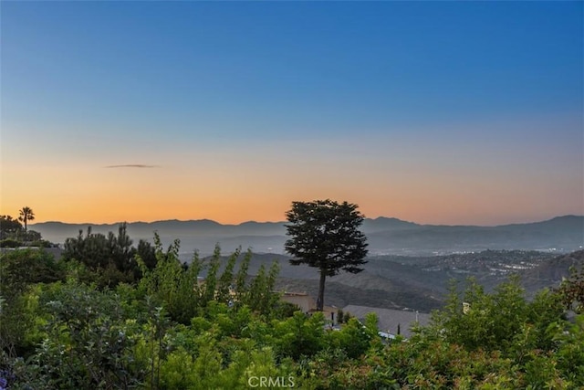 3180 Mountain View Dr, Laguna Beach, CA 92651 - photo 33