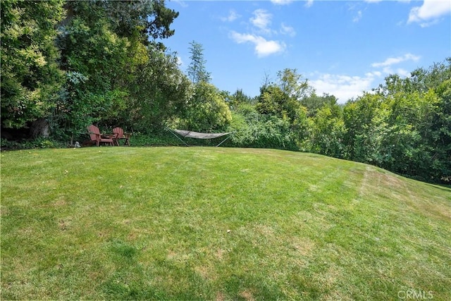 11818 Laurel Hills Rd, Studio City, CA 91604 - photo 42
