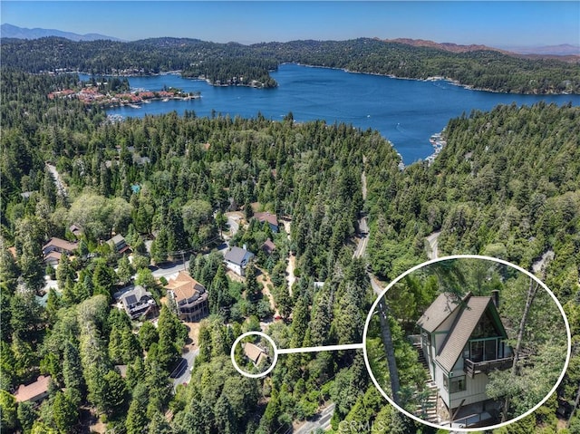 271 Fremont Rd, Lake Arrowhead, CA 92352 - photo 44