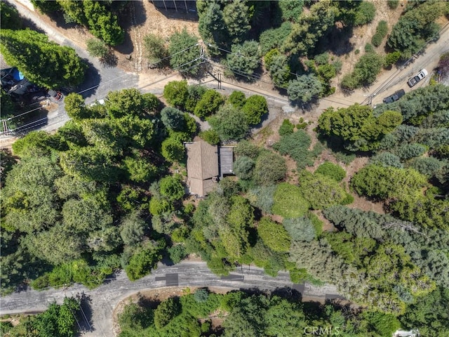 271 Fremont Rd, Lake Arrowhead, CA 92352 - photo 43