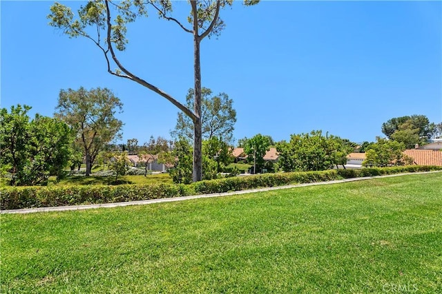 23524 Ribalta, Mission Viejo, CA 92692 - photo 33