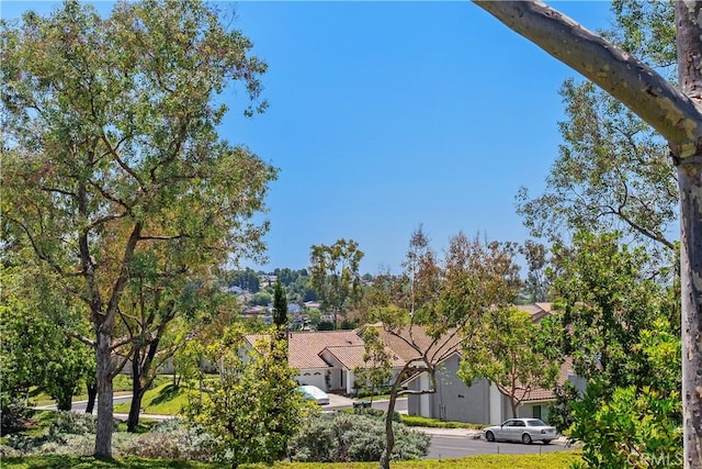 23524 Ribalta, Mission Viejo, CA 92692 - photo 38