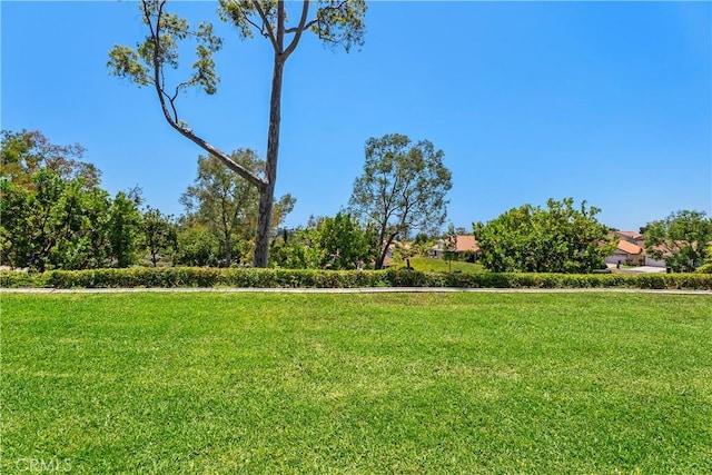 23524 Ribalta, Mission Viejo, CA 92692 - photo 35