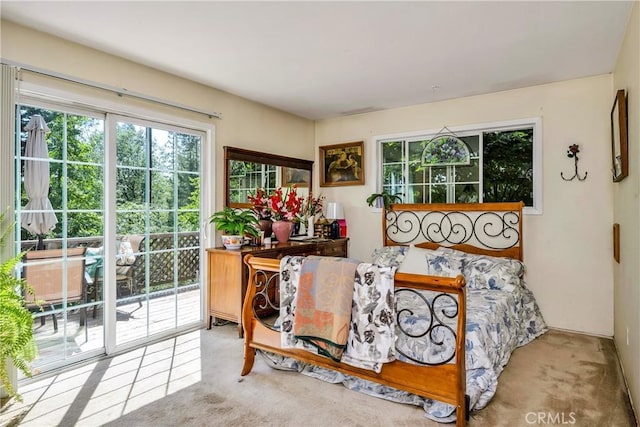 9434 Venturi Dr, Cobb, CA 95426 - photo 8
